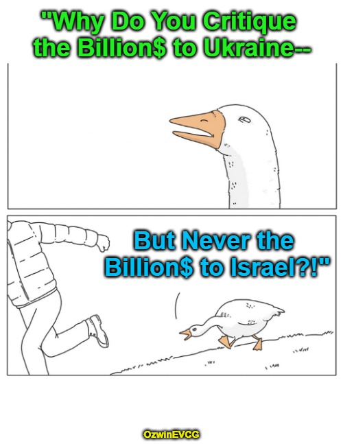 Quasi America First vs Actual America First | "Why Do You Critique 

the Billion$ to Ukraine--; But Never the 

Billion$ to Israel?!"; OzwinEVCG | image tagged in ukraine,israel,occupied usa,america first,foreign aid,maga | made w/ Imgflip meme maker