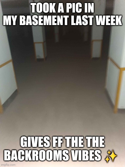 TOOK A PIC IN MY BASEMENT LAST WEEK; GIVES FF THE THE BACKROOMS VIBES ✨️ | made w/ Imgflip meme maker