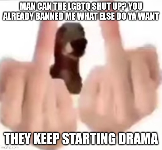 fuck you | MAN CAN THE LGBTQ SHUT UP? YOU ALREADY BANNED ME WHAT ELSE DO YA WANT; THEY KEEP STARTING DRAMA | image tagged in fuck you | made w/ Imgflip meme maker