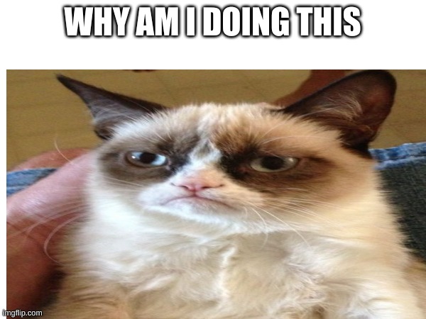 WHY AM I DOING THIS | made w/ Imgflip meme maker