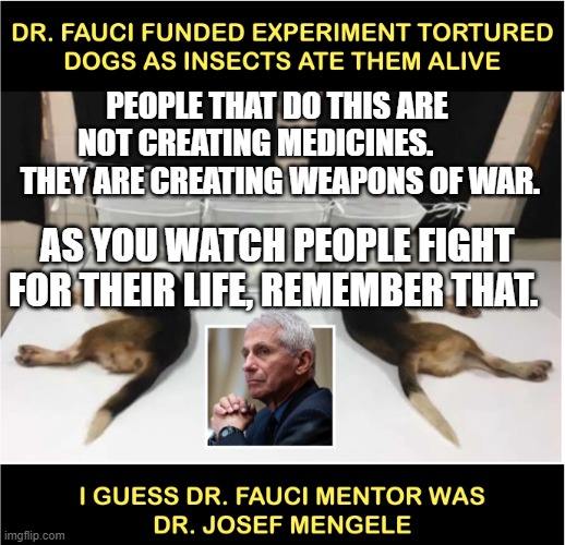 Fauci torturing dogs | PEOPLE THAT DO THIS ARE NOT CREATING MEDICINES.       
  THEY ARE CREATING WEAPONS OF WAR. AS YOU WATCH PEOPLE FIGHT FOR THEIR LIFE, REMEMBER THAT. | image tagged in fauci torturing dogs | made w/ Imgflip meme maker