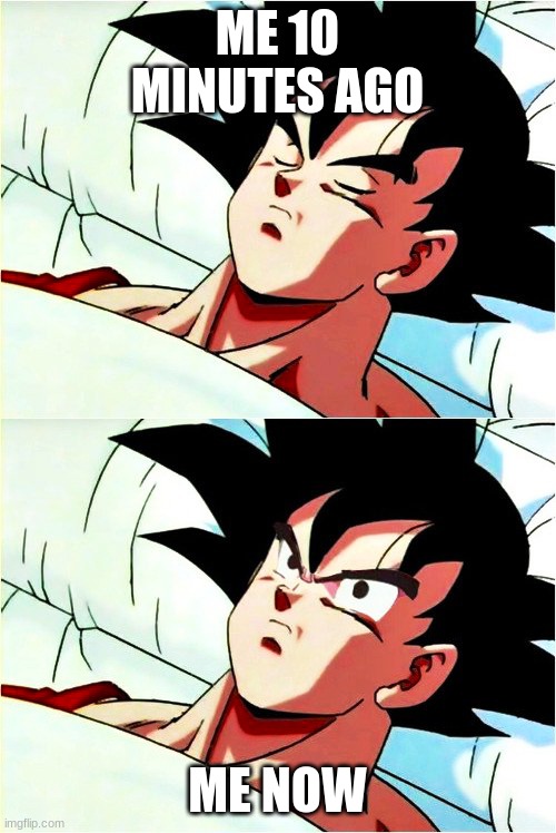 goku sleeping wake up | ME 10 MINUTES AGO ME NOW | image tagged in goku sleeping wake up | made w/ Imgflip meme maker