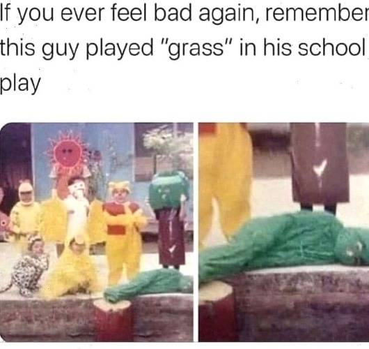 Child gets grass role in school play | image tagged in inhaling seagull,jackie chan wtf,face you make robert downey jr | made w/ Imgflip meme maker