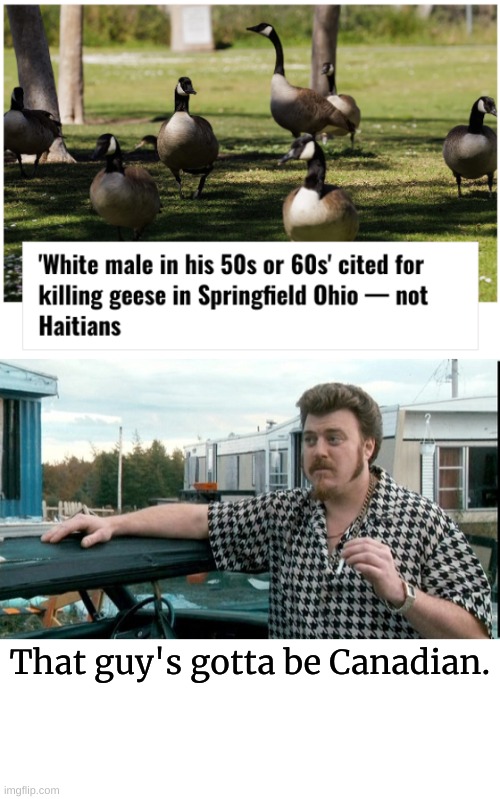 The only thing Canadians hate more than Toronto is our Gooseses | That guy's gotta be Canadian. | image tagged in ricky trailer park boys,cobra chicken,canadian cobra chicken,canada geese | made w/ Imgflip meme maker