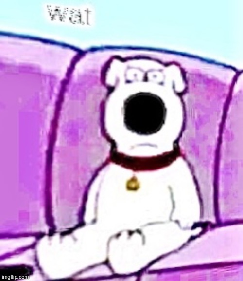 wat dawg? | image tagged in wat dawg | made w/ Imgflip meme maker