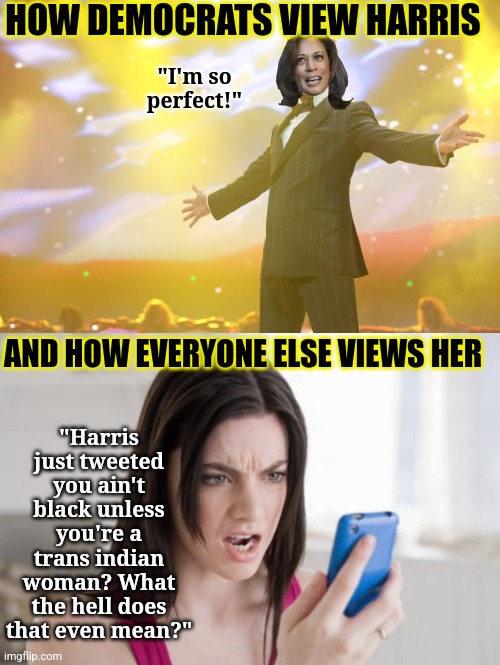 Now I understand why Democrats are offended by everything, yet ashamed of nothing. | HOW DEMOCRATS VIEW HARRIS; "I'm so perfect!"; "Harris just tweeted you ain't black unless you're a trans indian woman? What the hell does that even mean?"; AND HOW EVERYONE ELSE VIEWS HER | image tagged in kamala harris,expectation vs reality,politicians,failure,blinded by the light,crying democrats | made w/ Imgflip meme maker