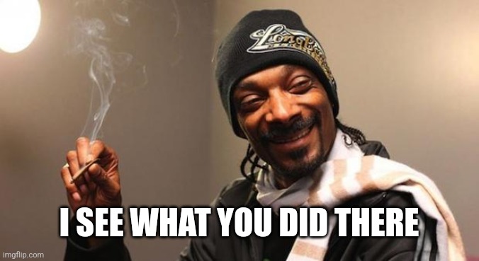 Snoop Dogg | I SEE WHAT YOU DID THERE | image tagged in snoop dogg | made w/ Imgflip meme maker