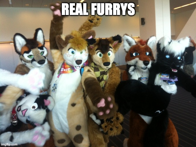 Real Furrys | REAL FURRYS | image tagged in furries | made w/ Imgflip meme maker