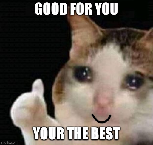 sad thumbs up cat | GOOD FOR YOU YOUR THE BEST | image tagged in sad thumbs up cat | made w/ Imgflip meme maker