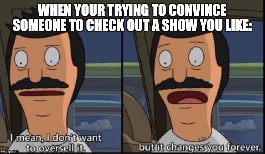 True Facts. | WHEN YOUR TRYING TO CONVINCE SOMEONE TO CHECK OUT A SHOW YOU LIKE: | image tagged in i don't want to oversell it but it changes you forever,tv show,anime,family,truth | made w/ Imgflip meme maker