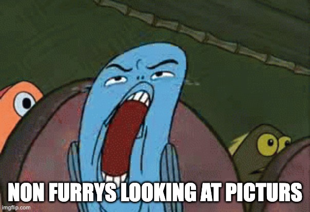 Non furrys looking at pictures | NON FURRYS LOOKING AT PICTURS | image tagged in spongebob grossed | made w/ Imgflip meme maker