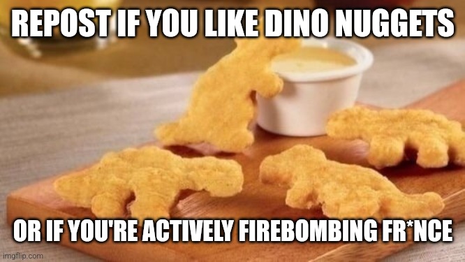 Dino nuggets | REPOST IF YOU LIKE DINO NUGGETS; OR IF YOU'RE ACTIVELY FIREBOMBING FR*NCE | image tagged in dino nuggets | made w/ Imgflip meme maker