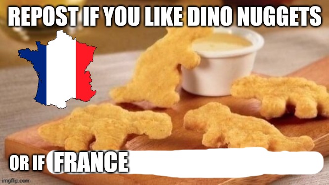 FRANCE | made w/ Imgflip meme maker