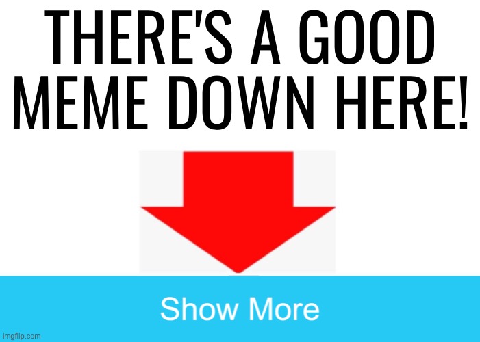 THERE'S A GOOD MEME DOWN HERE! | image tagged in pointing down arrow,show more button | made w/ Imgflip meme maker