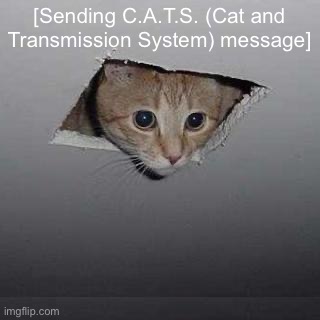 Ceiling Cat Meme | [Sending C.A.T.S. (Cat and Transmission System) message] | image tagged in memes,ceiling cat | made w/ Imgflip meme maker