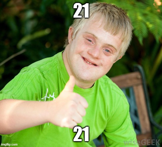 down syndrome | 21 21 | image tagged in down syndrome | made w/ Imgflip meme maker