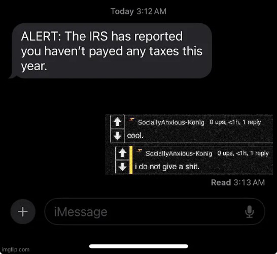 IRS report | image tagged in irs report | made w/ Imgflip meme maker