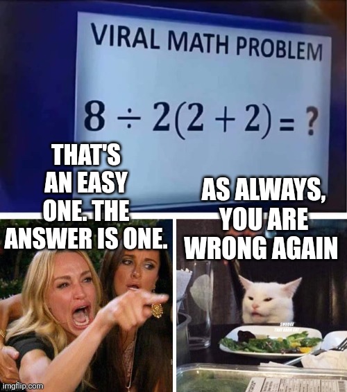 AS ALWAYS, YOU ARE WRONG AGAIN; THAT'S AN EASY ONE. THE ANSWER IS ONE. | image tagged in smudge that darn cat with karen | made w/ Imgflip meme maker