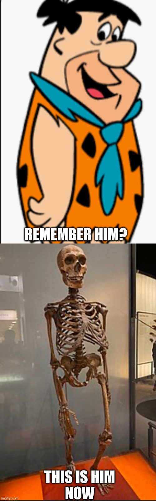 Fred Flinstone now | REMEMBER HIM? THIS IS HIM
NOW | image tagged in funny,dark humor,memes | made w/ Imgflip meme maker