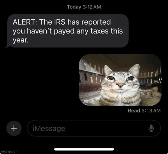 IRS report | image tagged in irs report | made w/ Imgflip meme maker