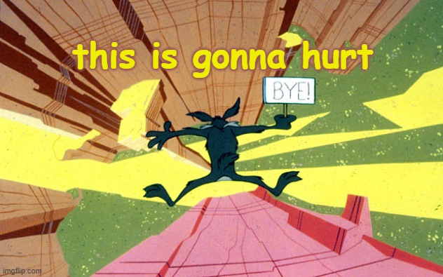 Ahhhhhhhhhhh | this is gonna hurt | image tagged in wile e coyote falling off of cliff | made w/ Imgflip meme maker