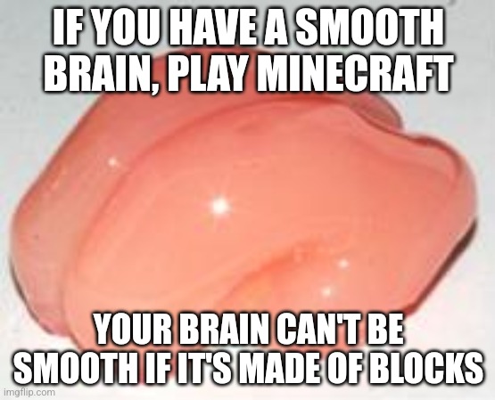 Block brain | IF YOU HAVE A SMOOTH BRAIN, PLAY MINECRAFT; YOUR BRAIN CAN'T BE SMOOTH IF IT'S MADE OF BLOCKS | image tagged in smooth brain,minecraft,block | made w/ Imgflip meme maker