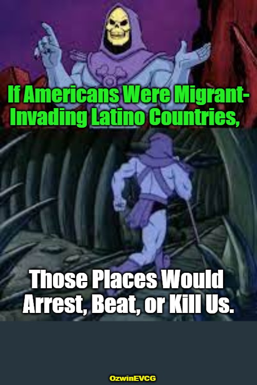 White Geese, Non-White Ganders | If Americans Were Migrant-

Invading Latino Countries, Those Places Would 

Arrest, Beat, or Kill Us. OzwinEVCG | image tagged in skeletor until next time,white people,double standard,nonwhite people,immigration,world occupied | made w/ Imgflip meme maker