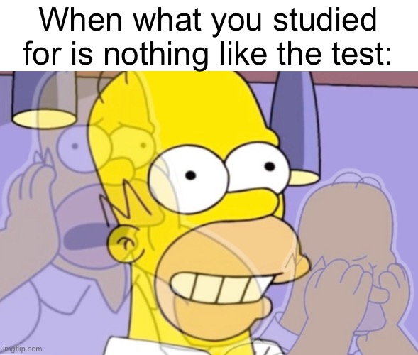 I STUDIED THE WRONG PAGES!? | When what you studied for is nothing like the test: | image tagged in simpson panic,memes | made w/ Imgflip meme maker