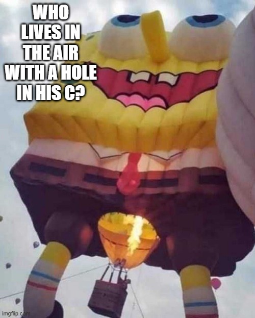 SpongeBob Crotchless | WHO LIVES IN THE AIR WITH A HOLE IN HIS C? | image tagged in unsee juice | made w/ Imgflip meme maker