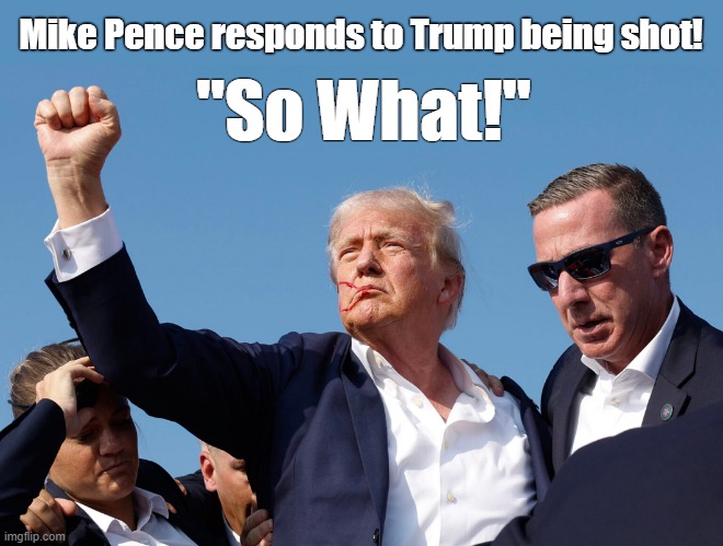 So What! | Mike Pence responds to Trump being shot! "So What!" | image tagged in donald trump,insurrection,jan 6,hanging,mike pence | made w/ Imgflip meme maker