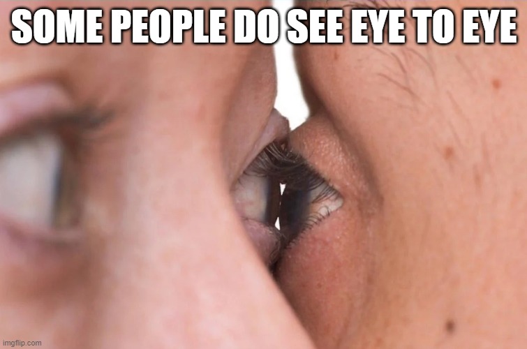 Eye to Eye | SOME PEOPLE DO SEE EYE TO EYE | image tagged in cursed image | made w/ Imgflip meme maker