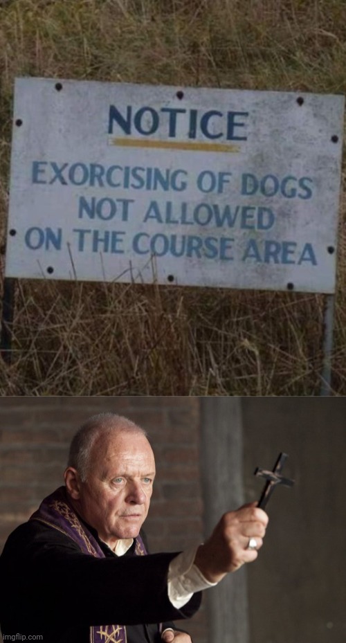 "Exorcising" | image tagged in the power of christ compels you,exorcist,exorcise,memes,dogs,dog | made w/ Imgflip meme maker