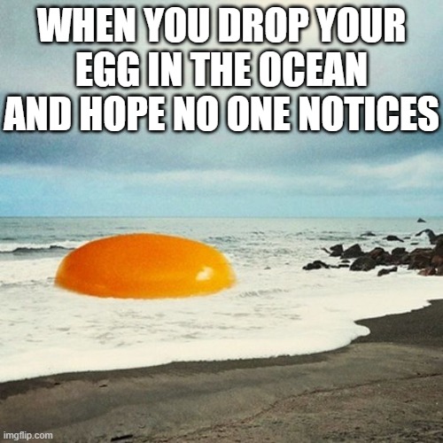 dropping egg in the ocean | WHEN YOU DROP YOUR EGG IN THE OCEAN AND HOPE NO ONE NOTICES | image tagged in memes | made w/ Imgflip meme maker