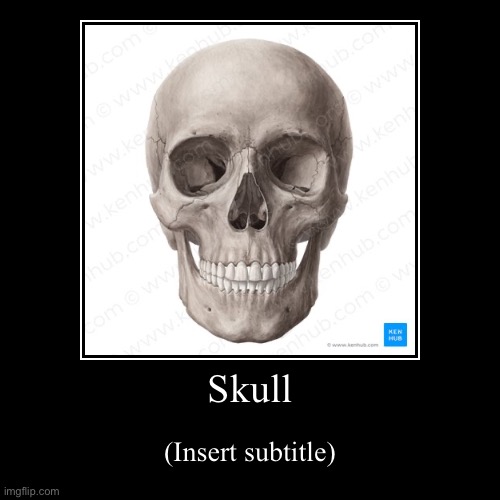 Skull ? | Skull | (Insert subtitle) | image tagged in funny,demotivationals | made w/ Imgflip demotivational maker