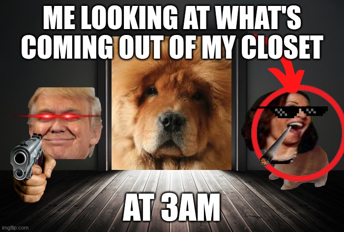 Open door | ME LOOKING AT WHAT'S COMING OUT OF MY CLOSET; AT 3AM | image tagged in open door,dog | made w/ Imgflip meme maker