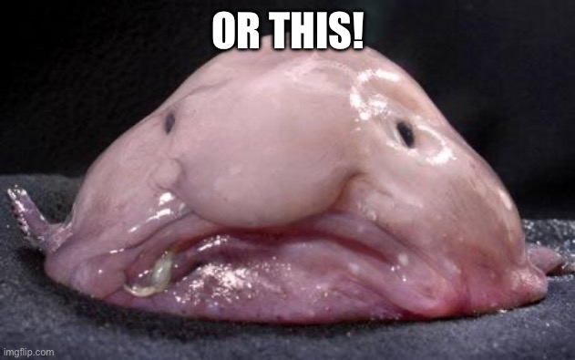 Blobfish | OR THIS! | image tagged in blobfish | made w/ Imgflip meme maker