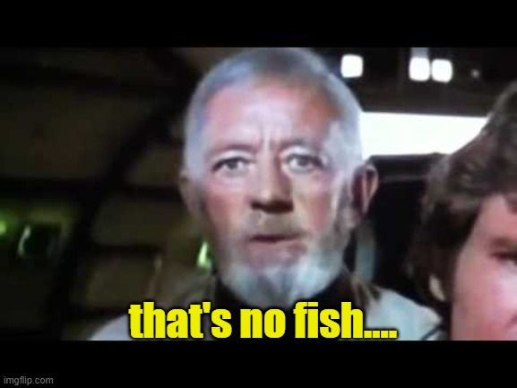 That's no moon | that's no fish.... | image tagged in that's no moon | made w/ Imgflip meme maker