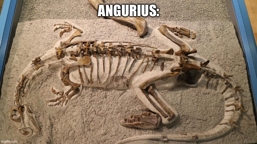 ANGURIUS: | made w/ Imgflip meme maker