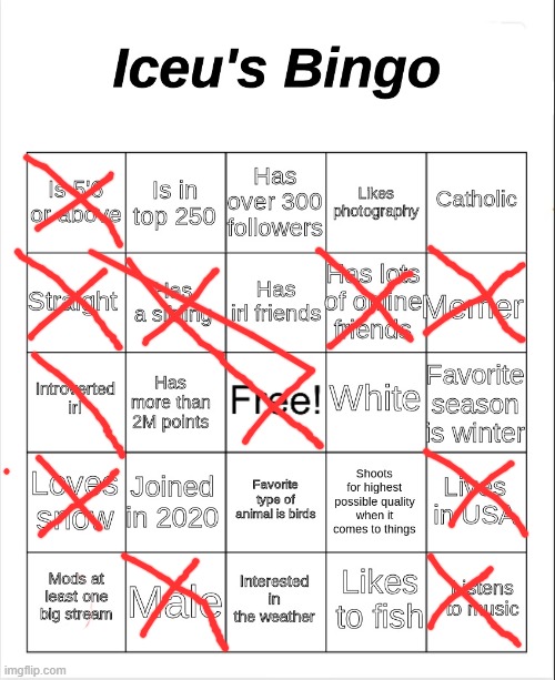 MY Iceu bingo | image tagged in iceu's bingo | made w/ Imgflip meme maker