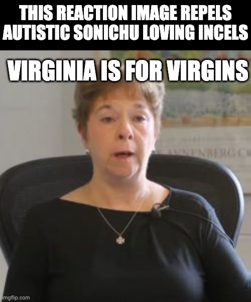 virginia is for virgins | THIS REACTION IMAGE REPELS AUTISTIC SONICHU LOVING INCELS; VIRGINIA IS FOR VIRGINS | image tagged in cwc,mary lee walsh,sonichu,funny,hilarious,meme | made w/ Imgflip meme maker