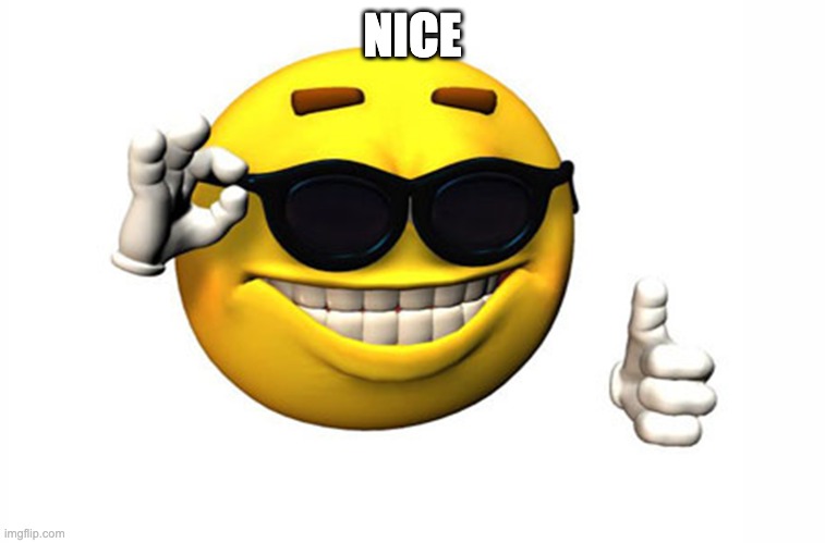 Meme Smile | NICE | image tagged in meme smile | made w/ Imgflip meme maker