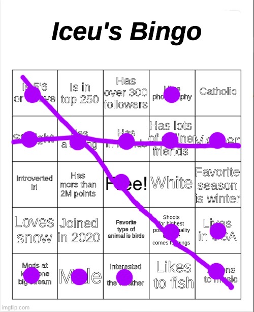 Iceu's Bingo | image tagged in iceu's bingo | made w/ Imgflip meme maker