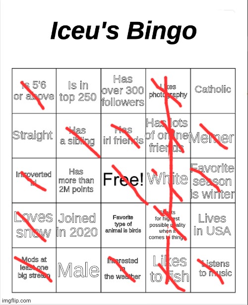 Iceu's Bingo | image tagged in iceu's bingo | made w/ Imgflip meme maker
