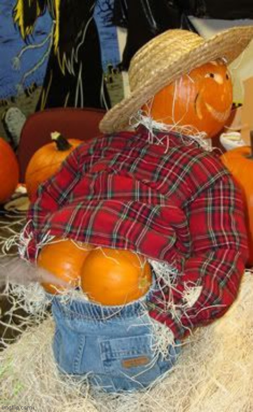 pumpkin fart | image tagged in pumpkin fart | made w/ Imgflip meme maker