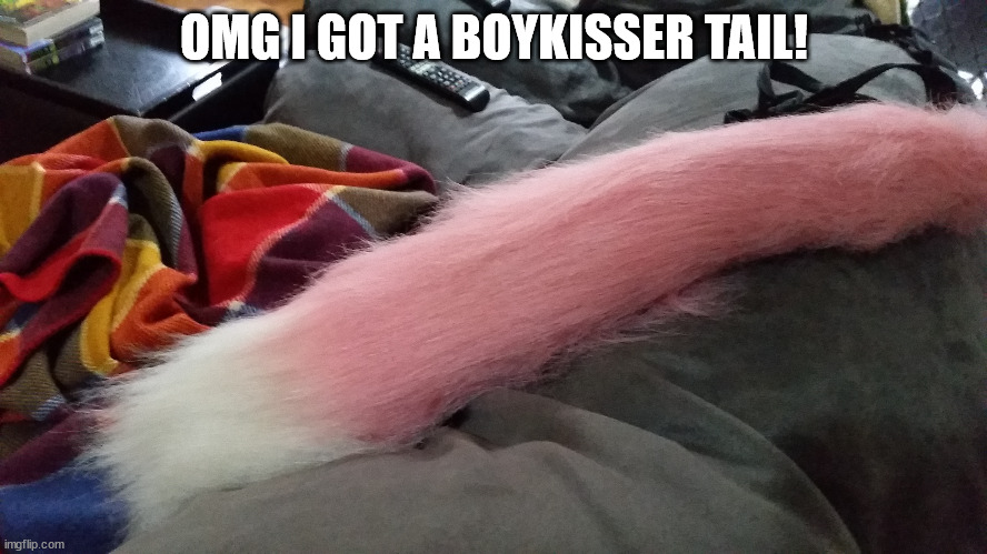 OwO | OMG I GOT A BOYKISSER TAIL! | image tagged in owo | made w/ Imgflip meme maker