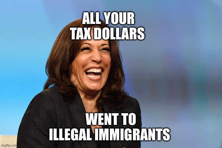 Taxes | ALL YOUR TAX DOLLARS; WENT TO ILLEGAL IMMIGRANTS | image tagged in kamala harris laughing,illegal immigration,politics,political meme | made w/ Imgflip meme maker