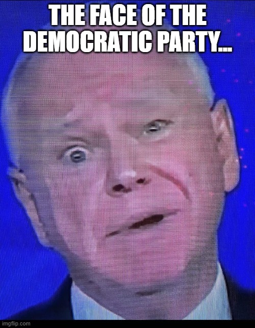 the blank look captures the brain dead, thoughtless look of the left. | THE FACE OF THE DEMOCRATIC PARTY... | image tagged in stupid liberals,funny memes,political meme,political humor | made w/ Imgflip meme maker