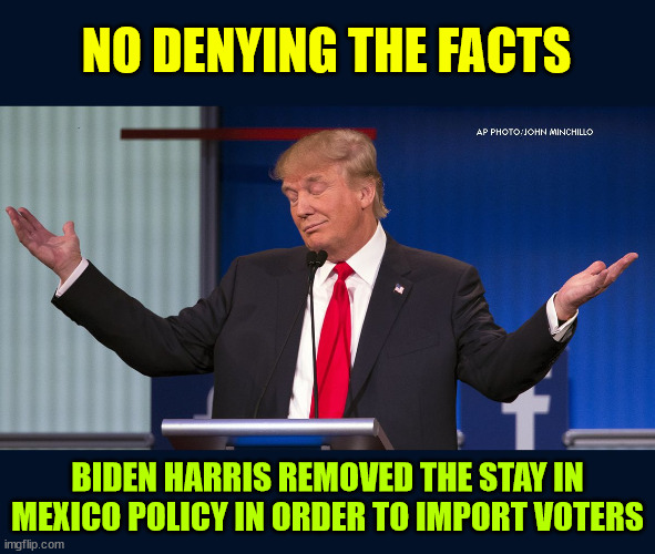 Exactly | NO DENYING THE FACTS BIDEN HARRIS REMOVED THE STAY IN MEXICO POLICY IN ORDER TO IMPORT VOTERS | image tagged in exactly | made w/ Imgflip meme maker