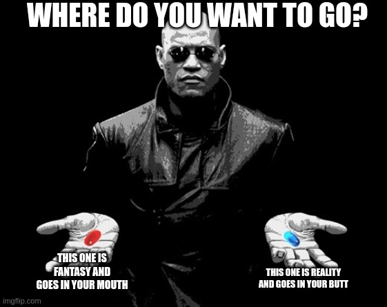 as we know reality is harsh | WHERE DO YOU WANT TO GO? THIS ONE IS FANTASY AND GOES IN YOUR MOUTH; THIS ONE IS REALITY AND GOES IN YOUR BUTT | image tagged in morpheus matrix blue pill red pill | made w/ Imgflip meme maker