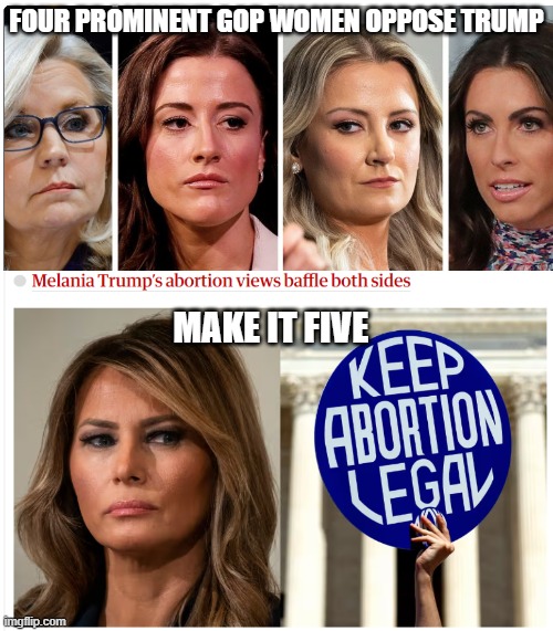 Republican women | FOUR PROMINENT GOP WOMEN OPPOSE TRUMP; MAKE IT FIVE | image tagged in trump,melania,gop | made w/ Imgflip meme maker